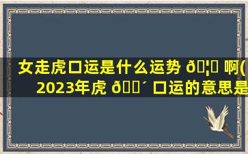女走虎口运是什么运势 🦄 啊(2023年虎 🐴 口运的意思是什么)
